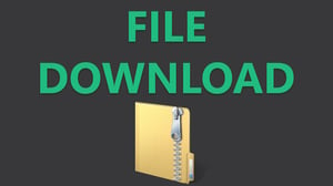 File Download Icon